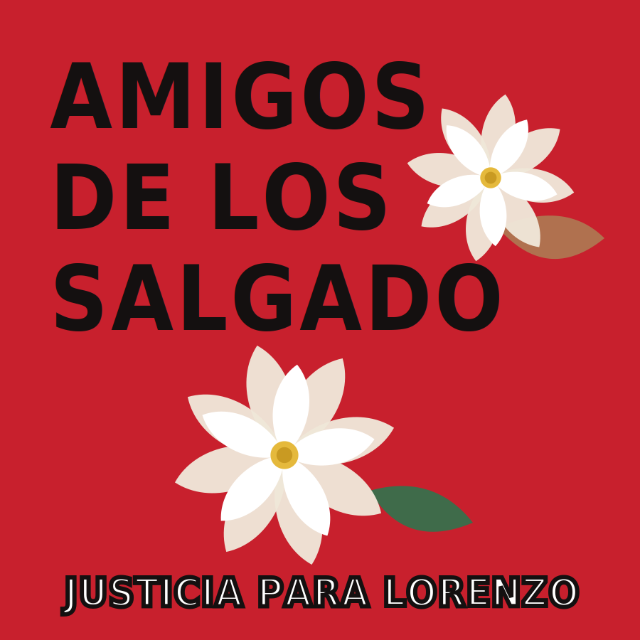 Amigos de los Salgado logo